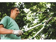 Serviço de Arborização Interna no Valo Velho