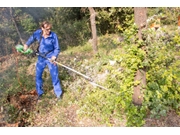 Preço de Limpeza de Terrenos em Anália Franco